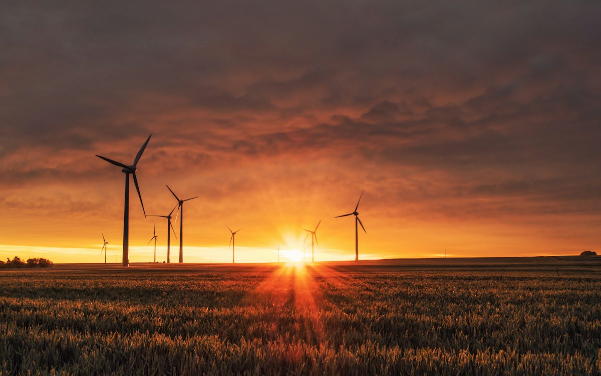 Sustainability and Savings